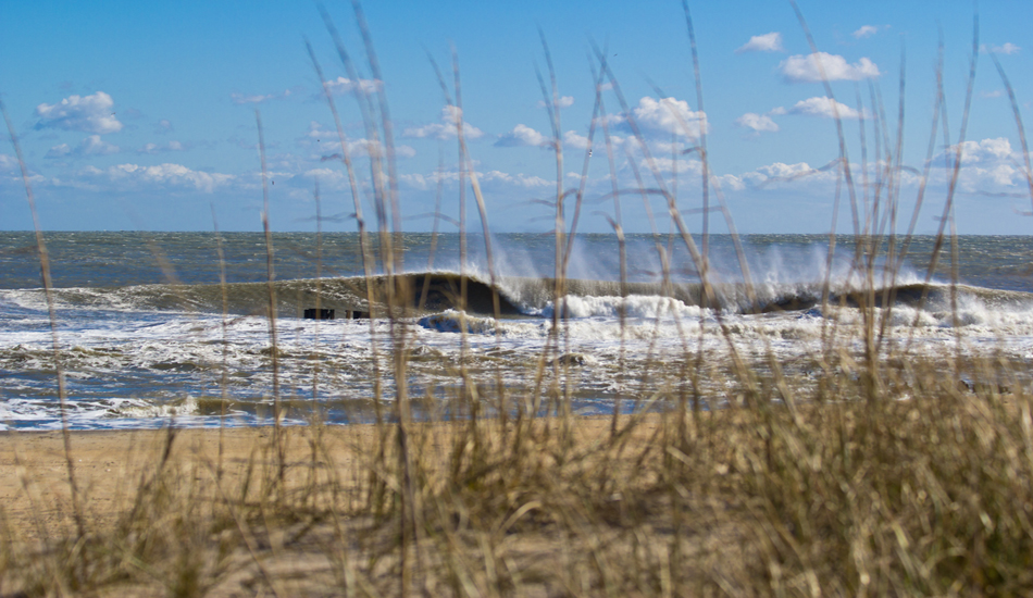 This is what we hope for when we pull up to the beach. Photo: <a href=\"https://www.chrisfrickphotography.com/\" target=_blank>Chris Frick</a>